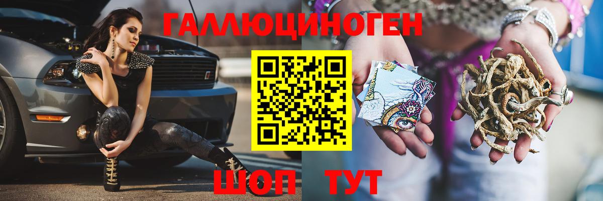 Углич  Псилоцибиновые грибы MAGIC MUSHROOMS  Вход с VPN 