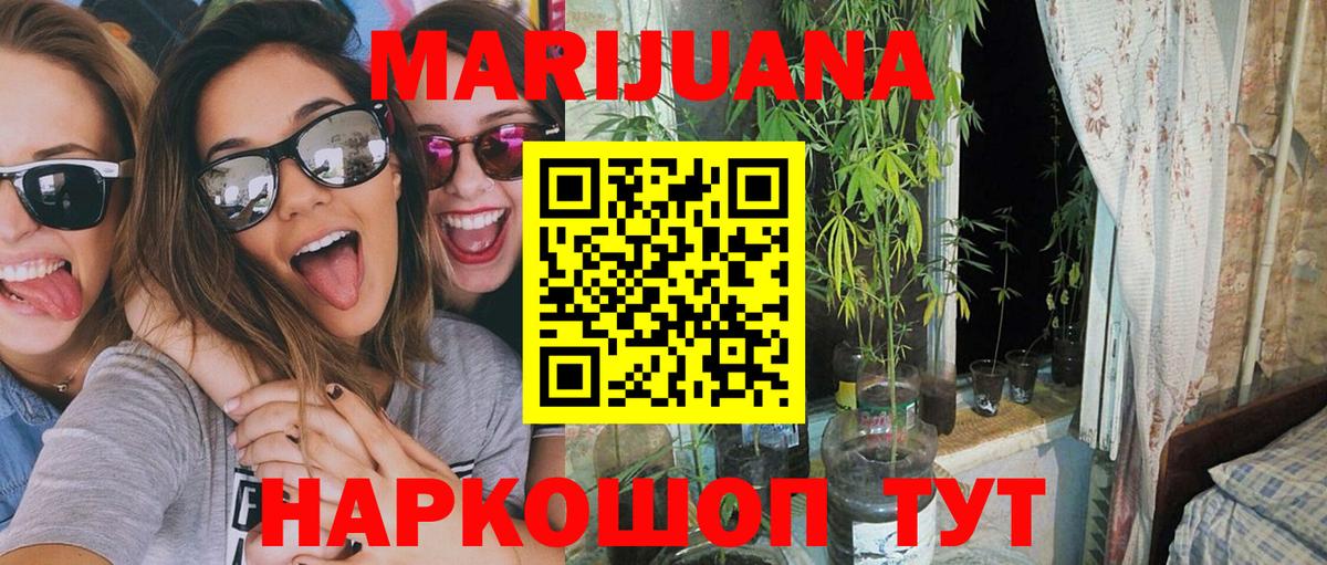 Бошки Шишки марихуана  Вход с VPN  Марихуана планчик  Углич 